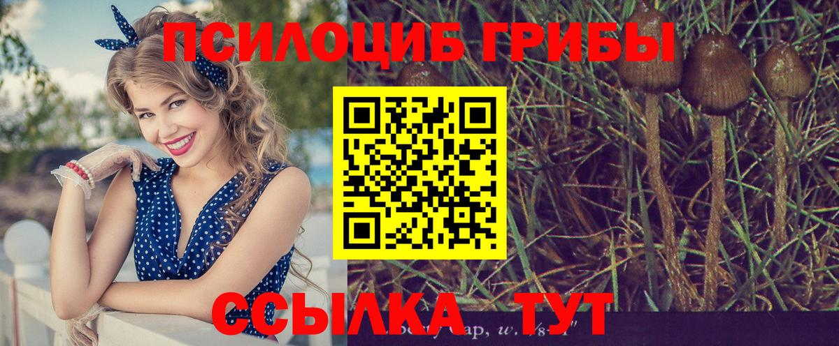 Юрга  Галлюциногенные грибы MAGIC MUSHROOMS  Вход с VPN 