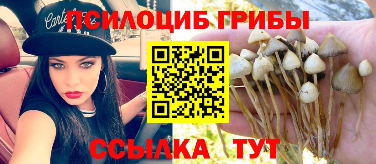 Галлюциногенные грибы мицелий Юрга